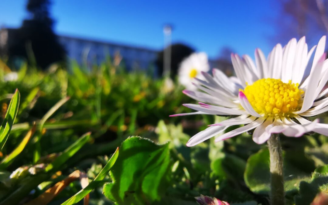 Concours photo biodiversité 2022