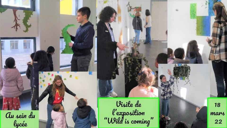 Comme au Musée: des enfants de grande section visitent l’exposition”Wild is coming” au lycée.